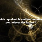 Réponse rapide : quel est le meilleur moment de l’année pour élever des lapins ?